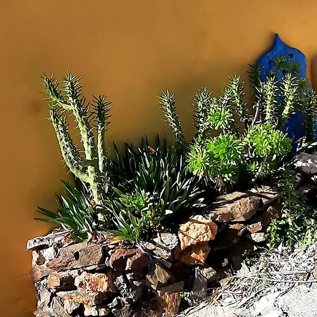 Casa de Férias Adobe Getaway With 'private Plunge Pool' *